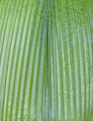 Similar image 21262693