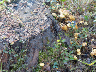 Similar image 21268570