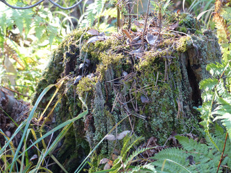 Similar image 21270642