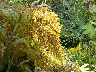 Similar image 21268572