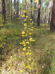 Similar image 21272713