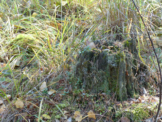 Similar image 21272714