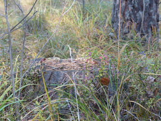 Similar image 21270644