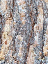 Similar image 21270646