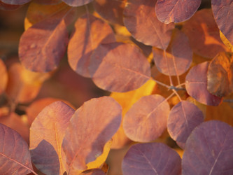 Similar image 21263064