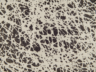 Similar image 21263070