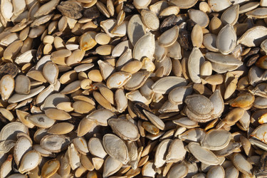 Similar image 21263072