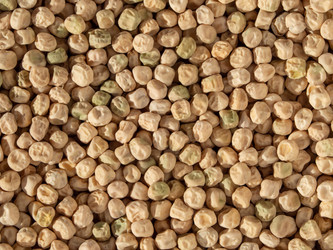 Similar image 21263075