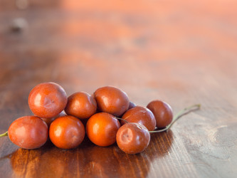 Similar image 21263076