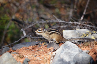 Similar image 21280091