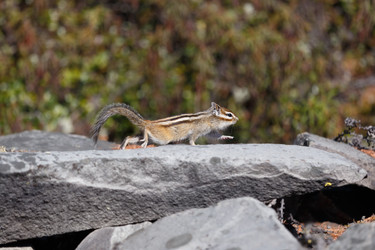 Similar image 21280093