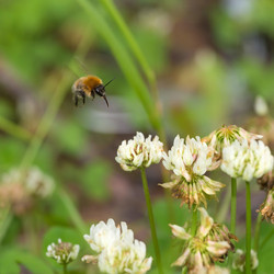 Similar image 21262549