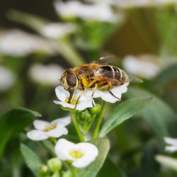 Similar image 21262552