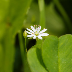 Similar image 21262559