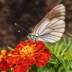 Similar image 21262565