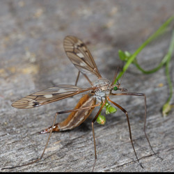 Similar image 21262569