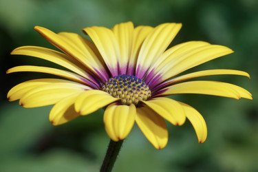 Similar image 21262573