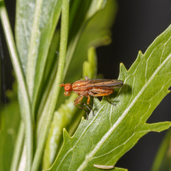 Similar image 21280019