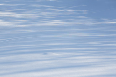 Similar image 21280020