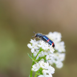 Similar image 21280022