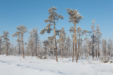 Similar image 21280024