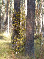 Similar image 21278293