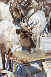 Similar image 21280034