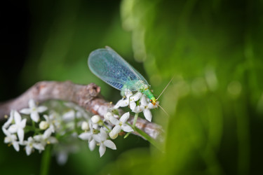 Similar image 21280035