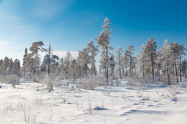 Similar image 21280036