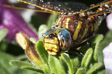 Similar image 21280037