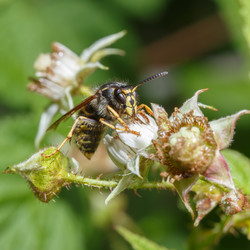 Similar image 21280094