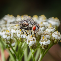 Similar image 21280096