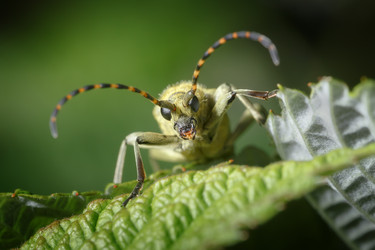 Similar image 21280098