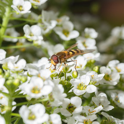 Similar image 21280104