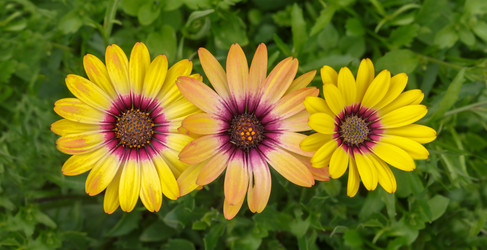 Similar image 21280108