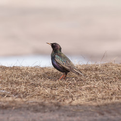 Similar image 21280117