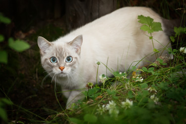 Similar image 21280118