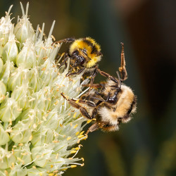 Similar image 21280120