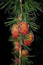 Similar image 21280124