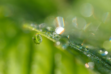 Similar image 21280127