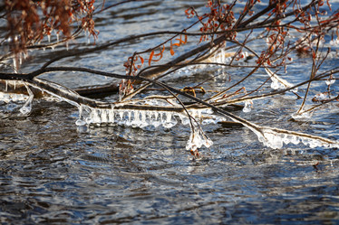 Similar image 21280129