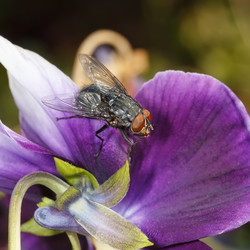 Similar image 21280146