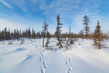 Similar image 21280148