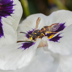 Similar image 21280149