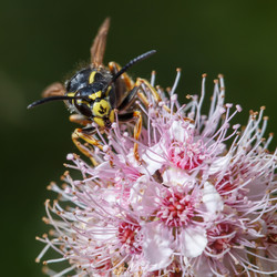 Similar image 21280171