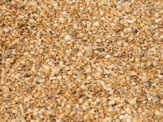 Similar image 21263081