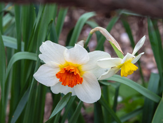 Similar image 21263082