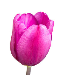 Similar image 21263084