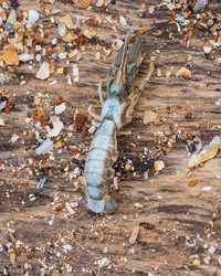 Similar image 21263086