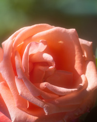 Similar image 21263088